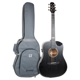 Viol�o Strinberg SD301HCR-TOS Folk Fosco